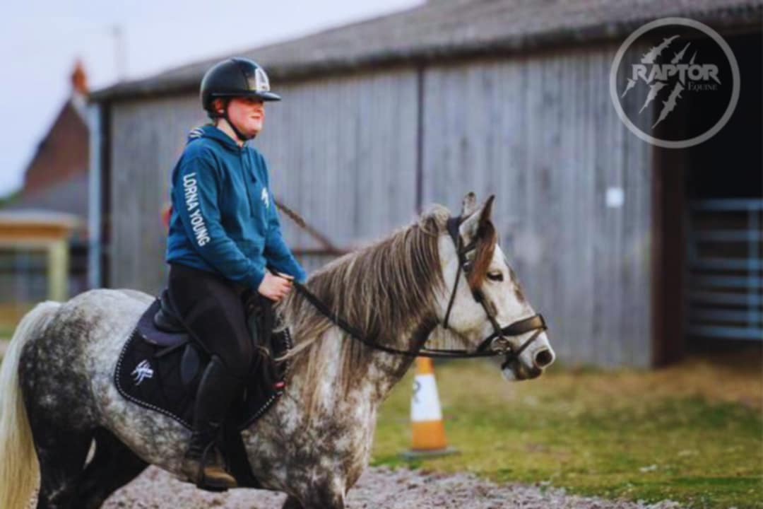 Raptor Saddlepad Cotton