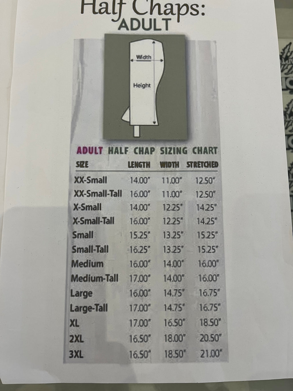 Raptor Leather Half Chaps