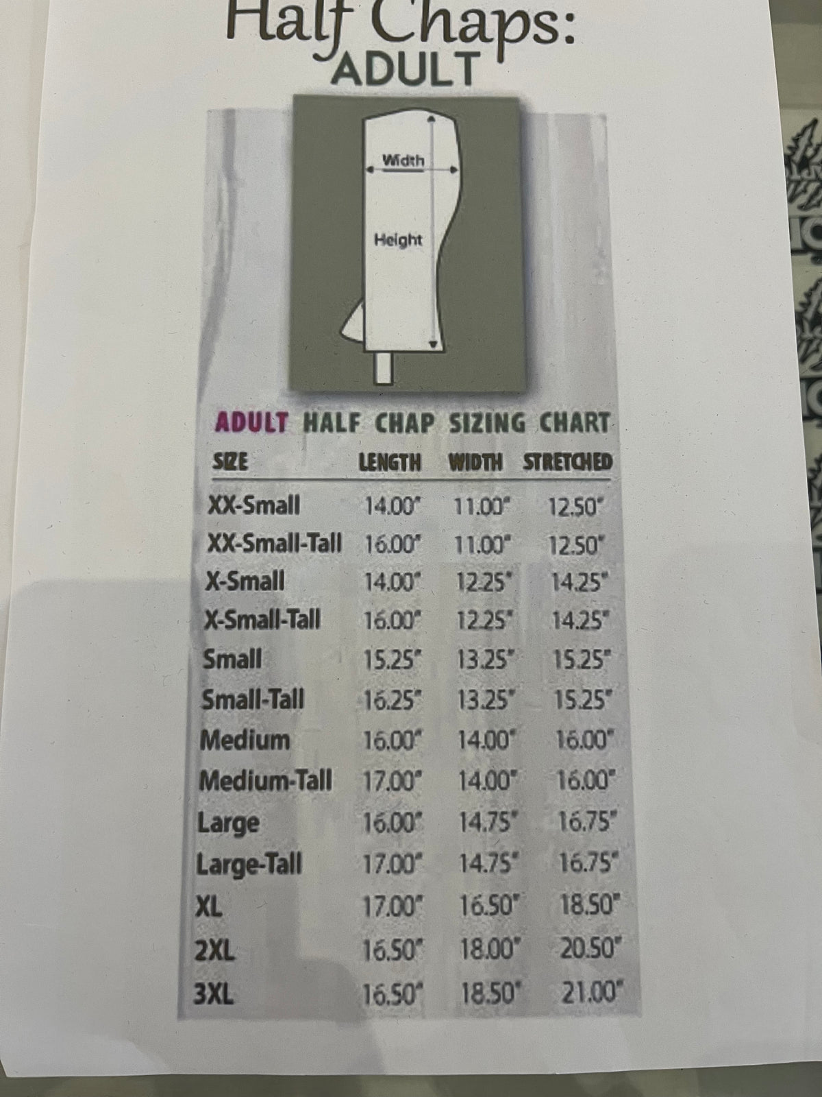 Raptor Leather Half Chaps