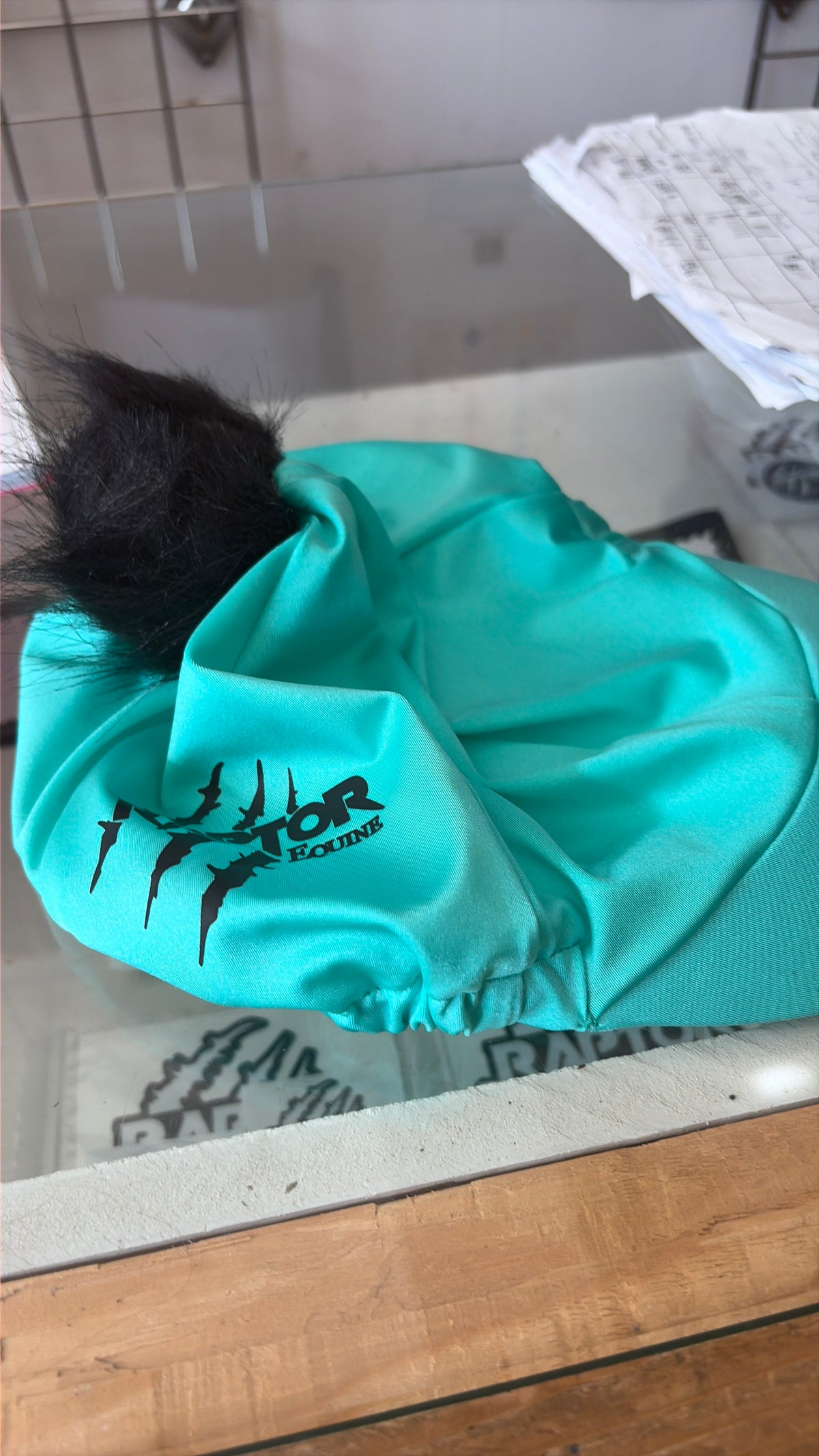 Raptor Hatsilk