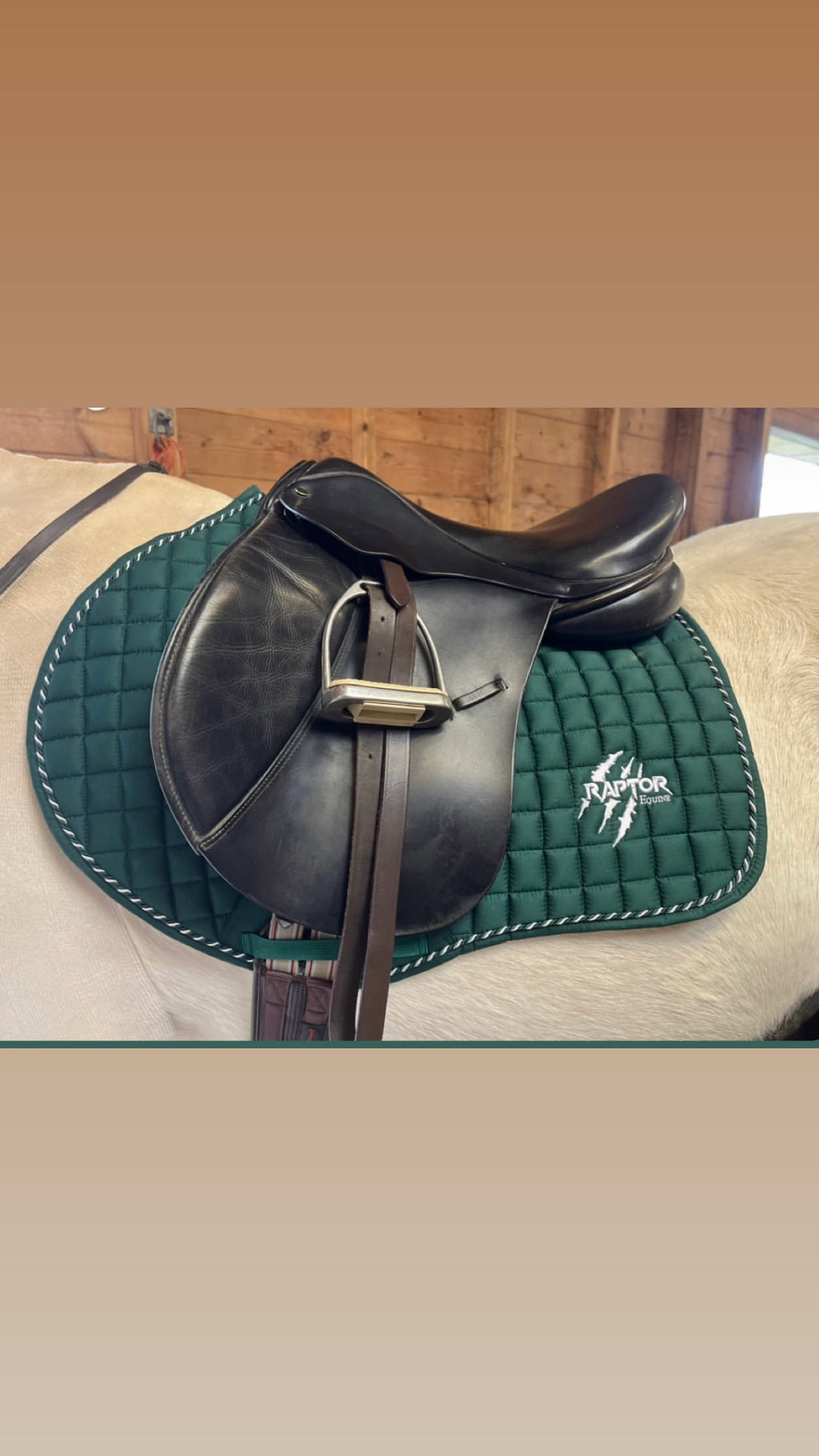 Raptor Saddlepad Cotton