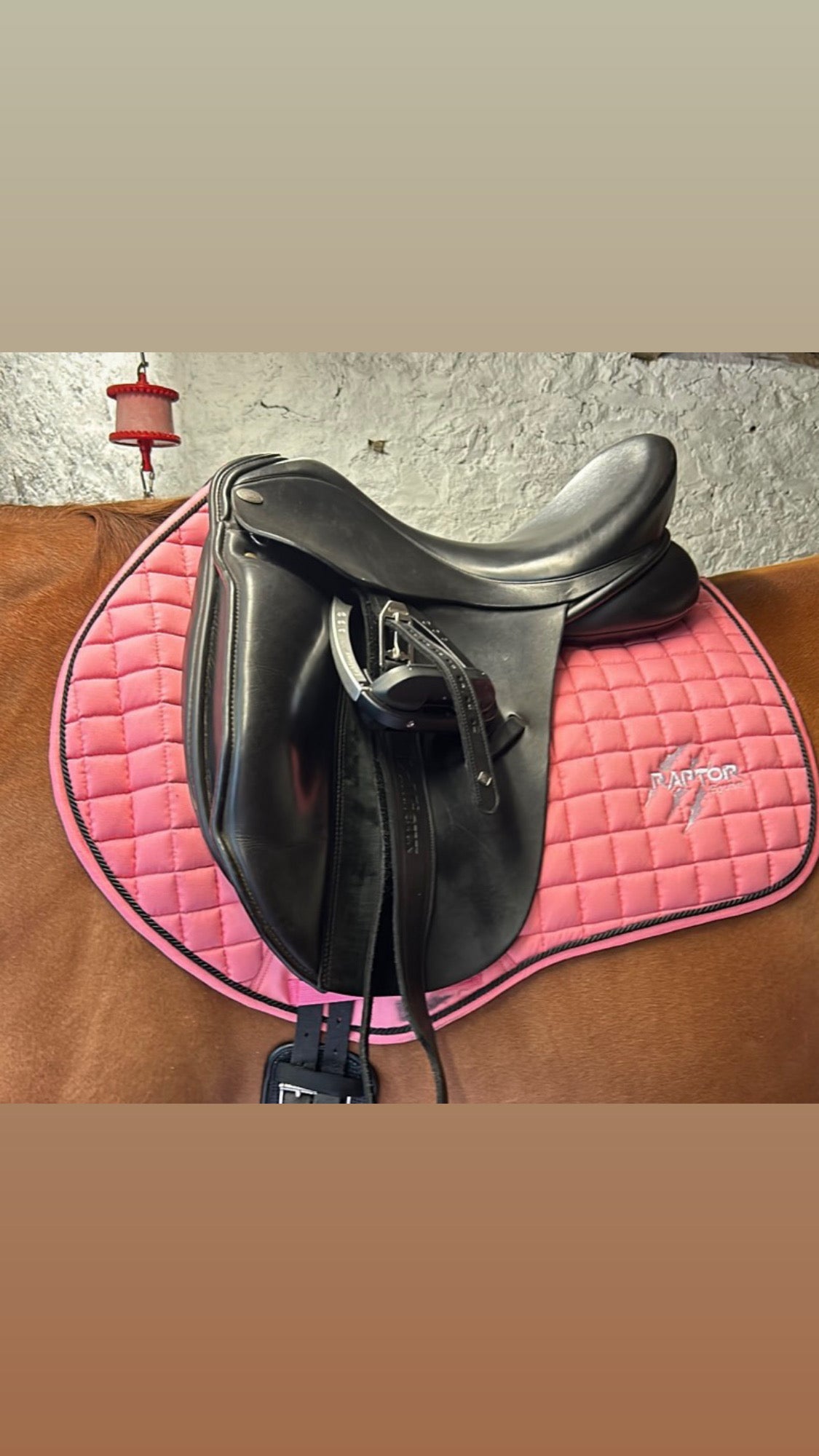 Raptor Saddlepad Cotton