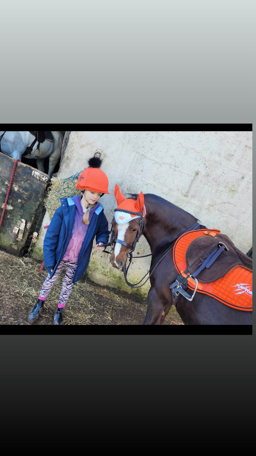 Raptor Saddlepad Cotton