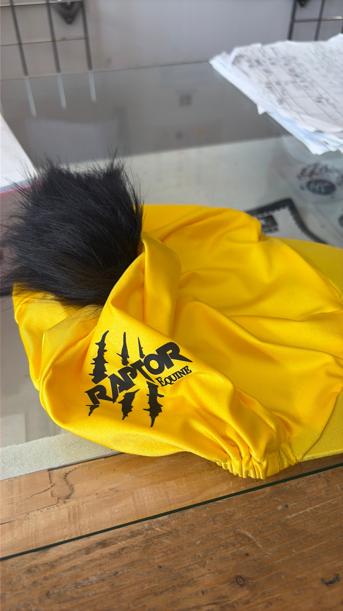 Raptor Hatsilk