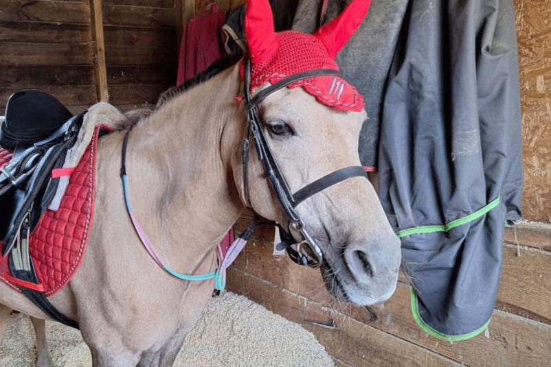 Raptor ears/fly veil