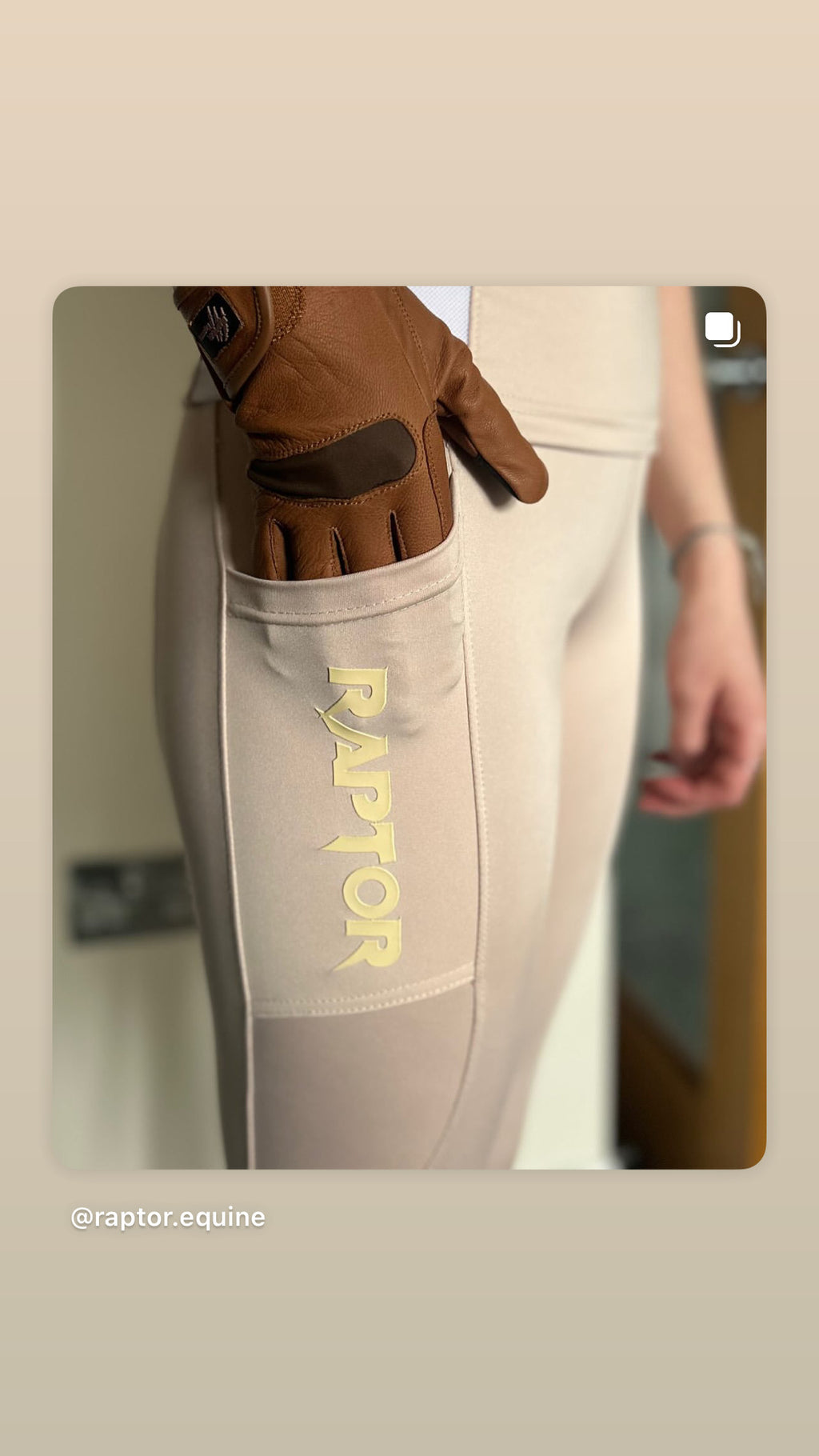 Raptor riding tights/riding leggings - Teens / adults