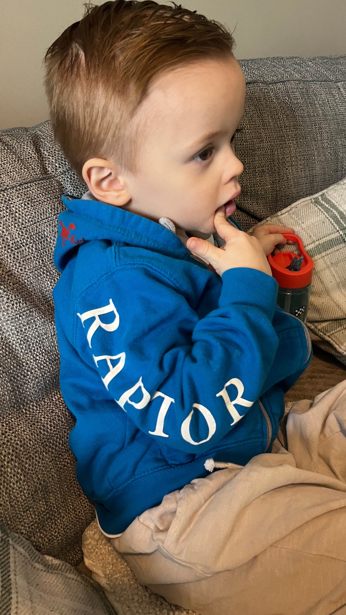 Raptor Hoodie