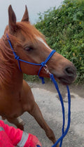 Rope Halter Bitless Bridle with Reins