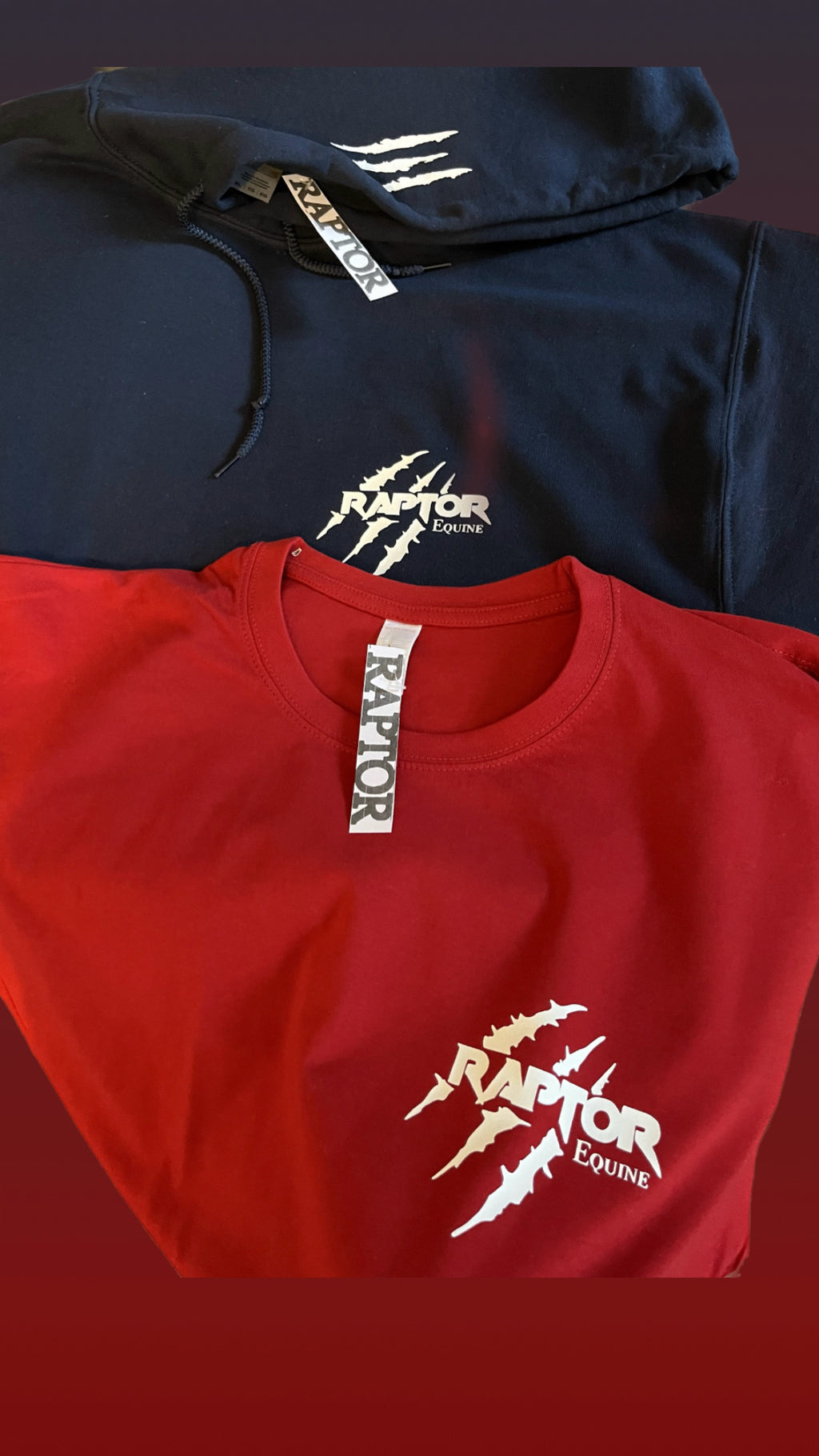 Raptor T Unisex T Shirt - Kids