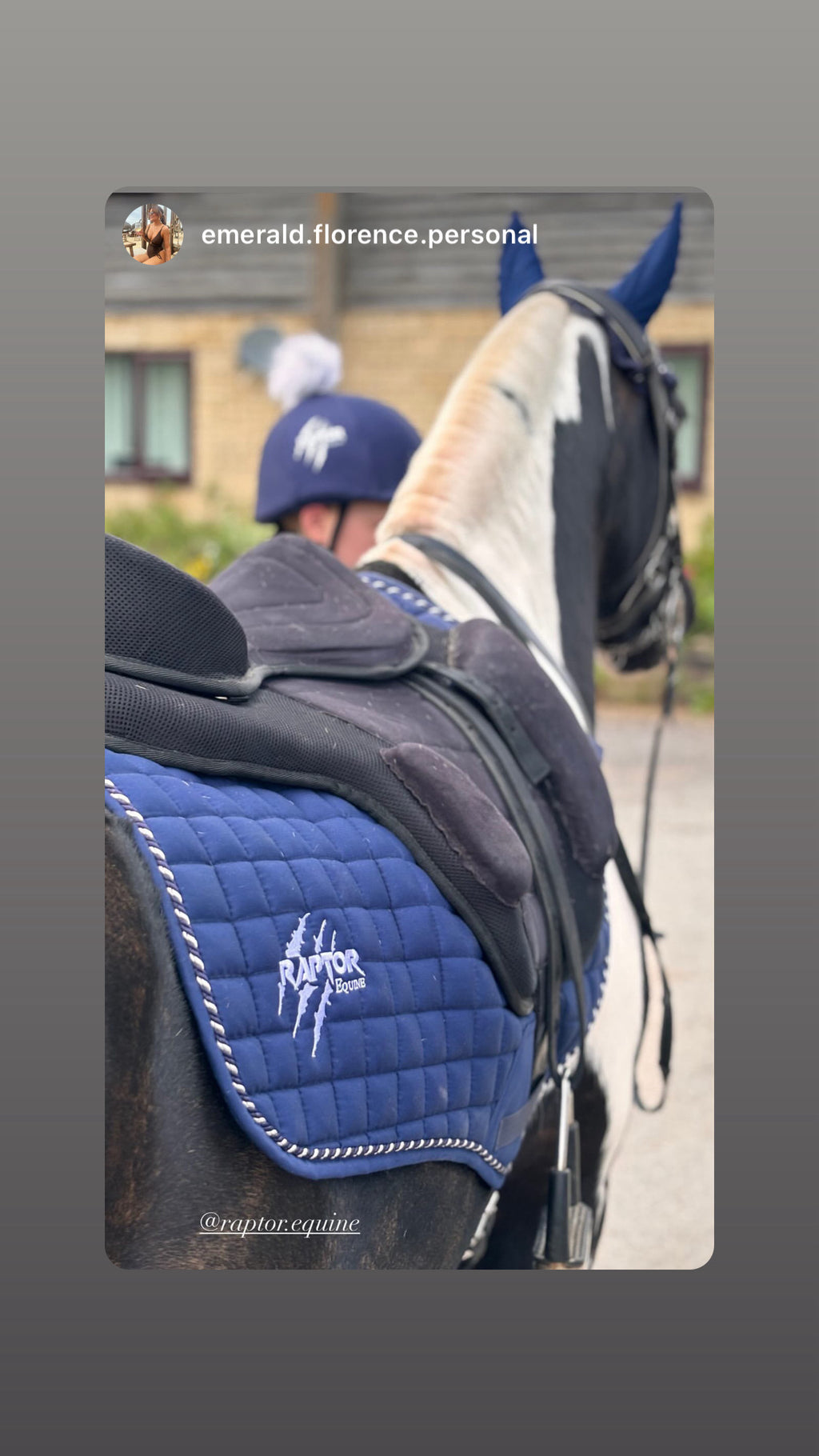 Raptor Saddlepad Cotton
