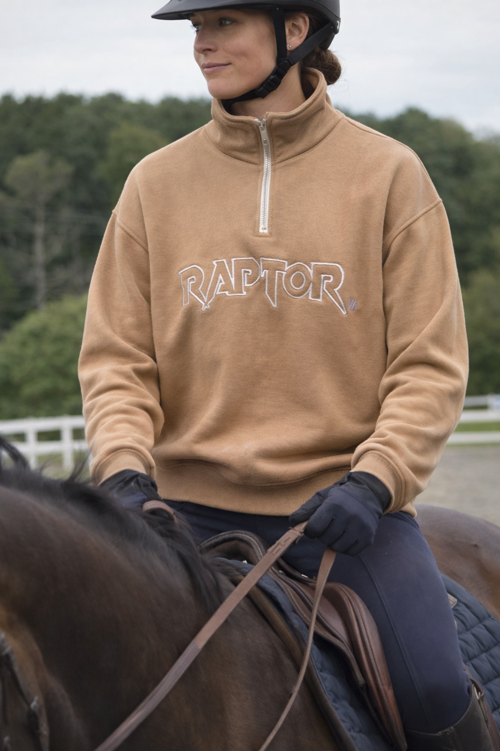 Raptor 1/4 zip Bracchio Beige Jumper