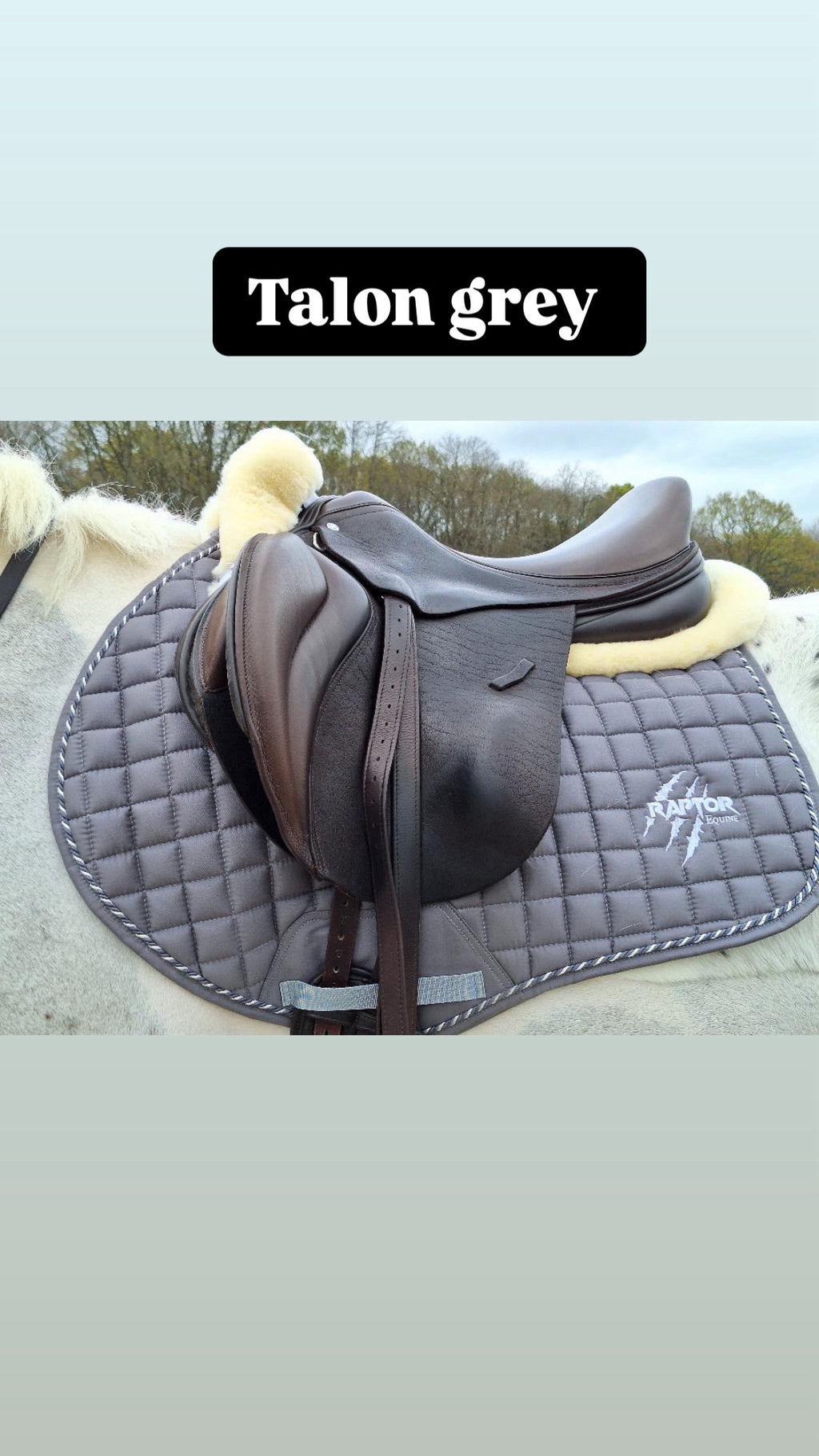 Raptor Saddlepad Cotton