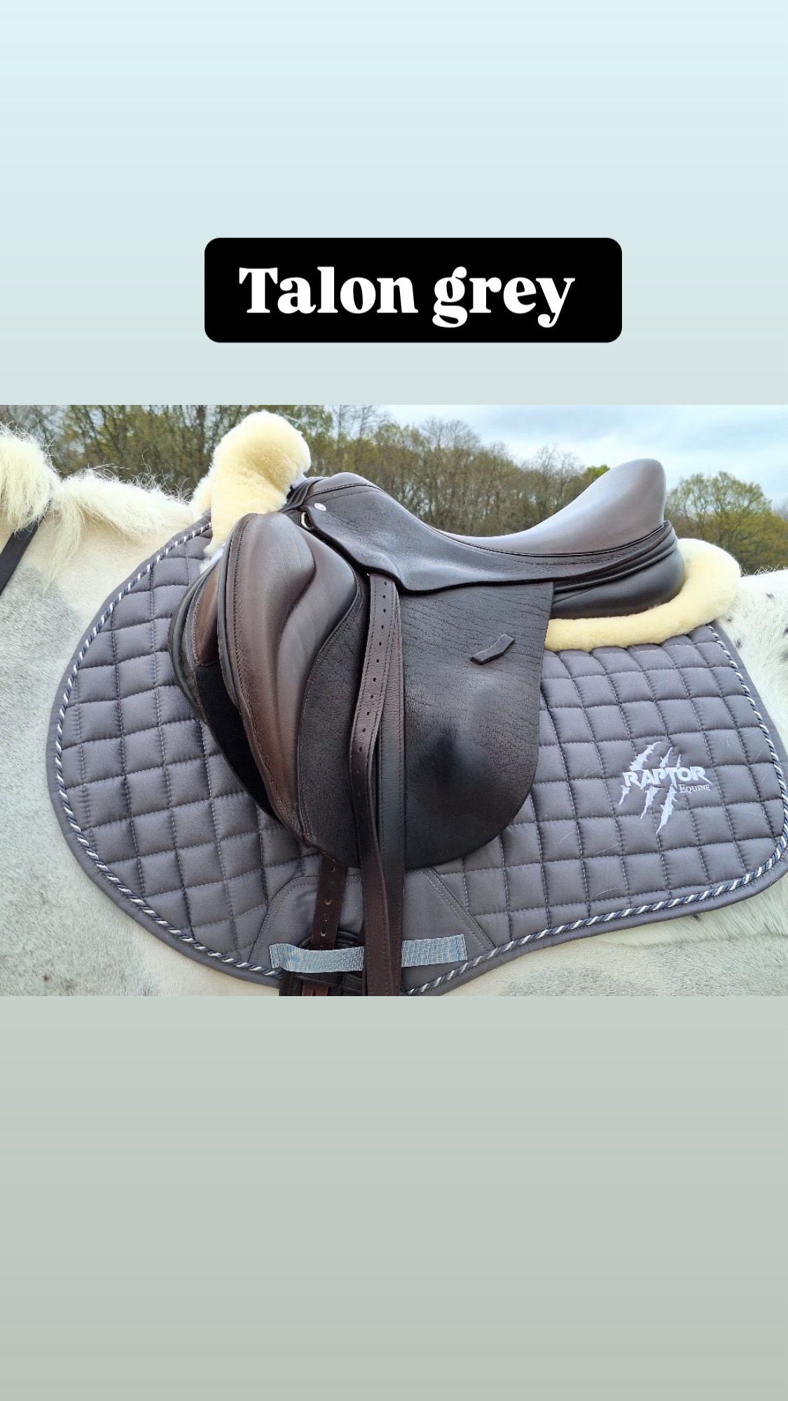 Raptor Saddlepad Cotton