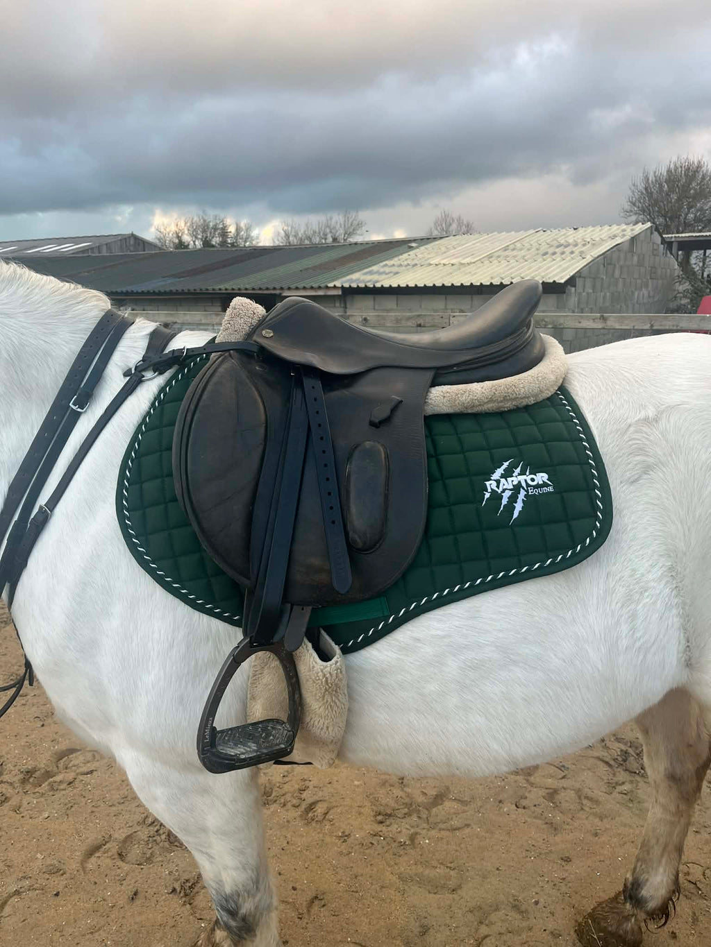 Raptor Saddlepad Cotton