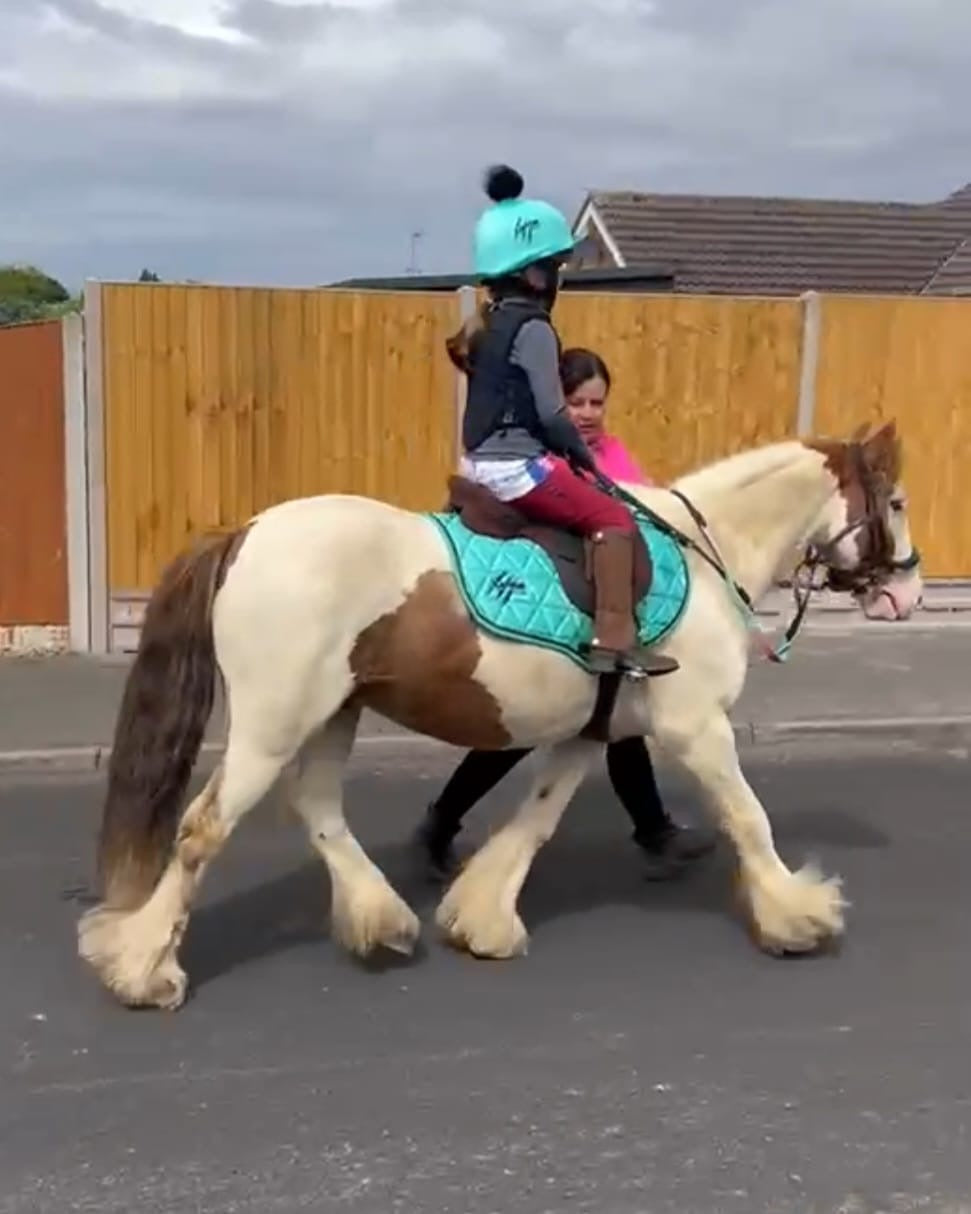Raptor Kids Riding Leggings