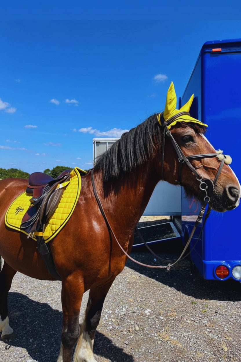 Raptor ears/fly veil