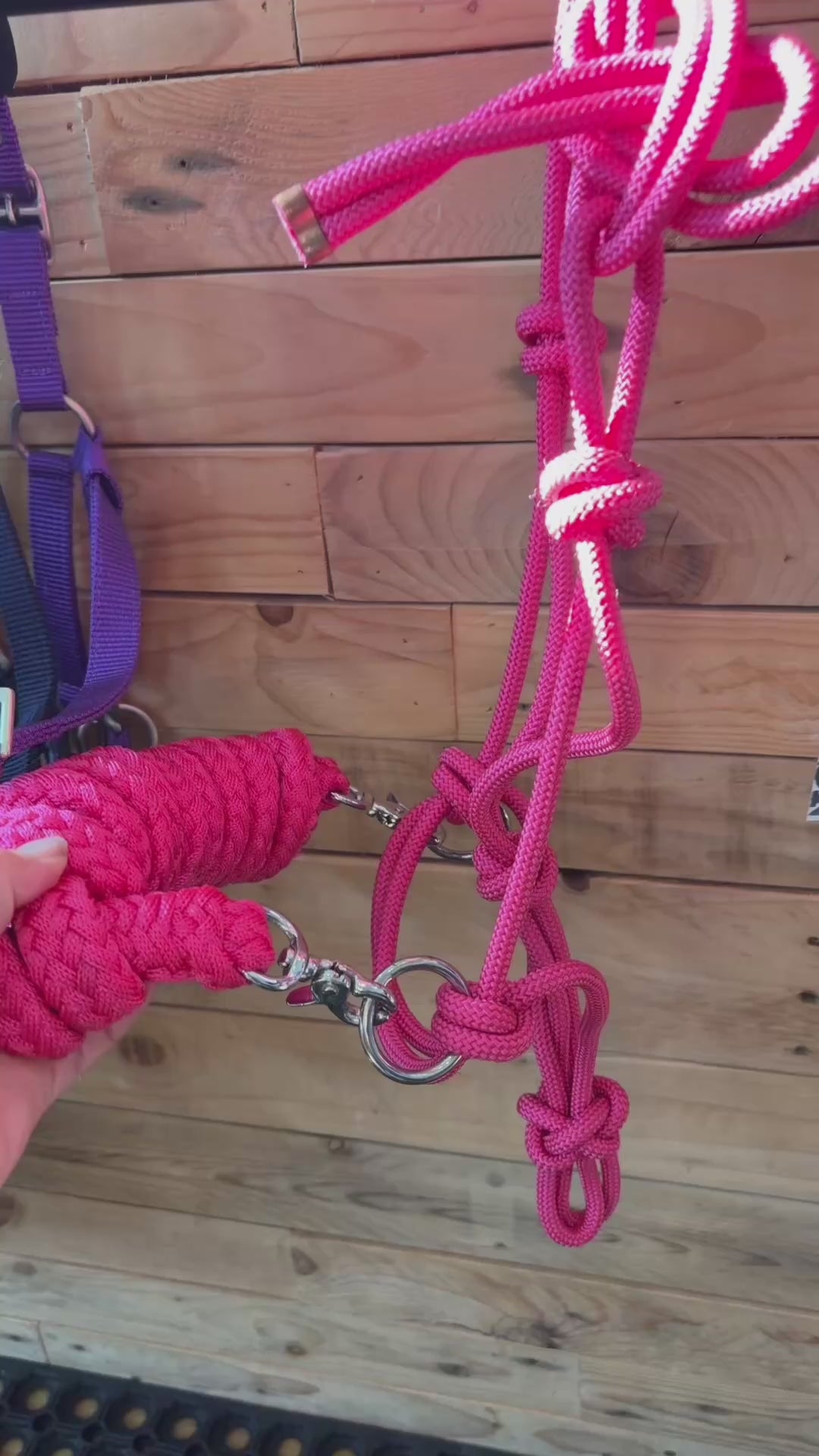 Rope Halter Bitless Bridle with Reins
