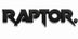Raptor Cornwall - Home